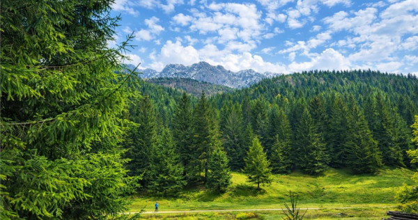 Teren intravilan panoramic 4.600 mp, view iconic Piatra Crai