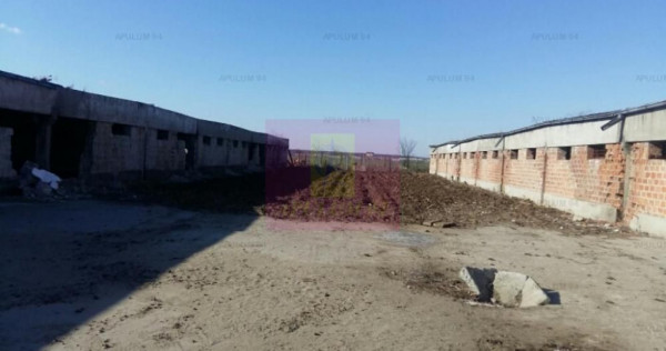 Teren Balotesti- Saftica- ideal pentru constructie locuinte.