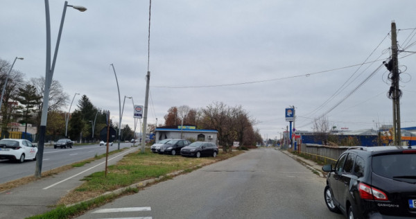 Teren Calea Moinești Dedeman - Parc Auto - Publicitate Str