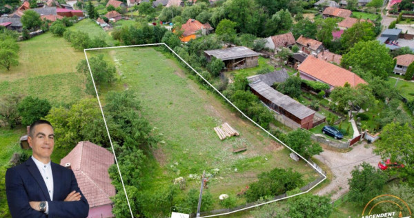 Film! 2.700 mp:refugiu al linistii si oportunitatii imobilia
