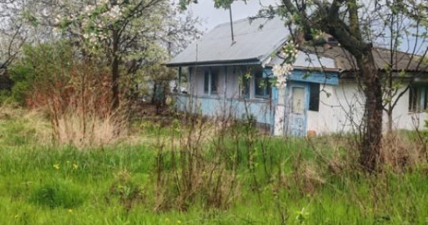 Teren intravilan in suprafata de 3160 mp, Puscasi, Poiana...