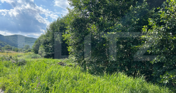 Teren intravilan de v&acirc;nzare &ndash; Vălișoara, 700 mp