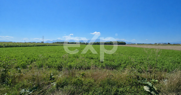 Teren intravilan 17.204 mp Stupini &ndash; zonă mixtă ZM, POT