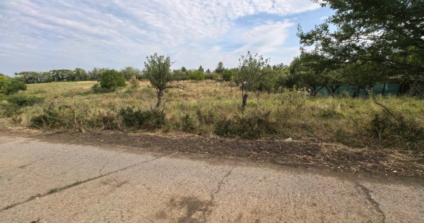 Teren intravilan 2170 mp la drum asfaltat - Chicerea