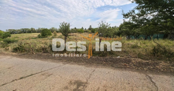 Teren intravilan 2170 mp la drum asfaltat - Chicerea