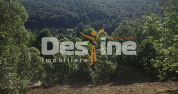 Teren Valea Doftanei, zona Pe Vale - Baraj Paltinu