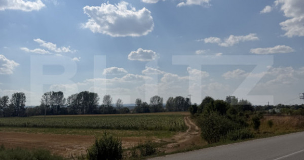 Teren extravilan, 9000 mp, zona Nusfalau