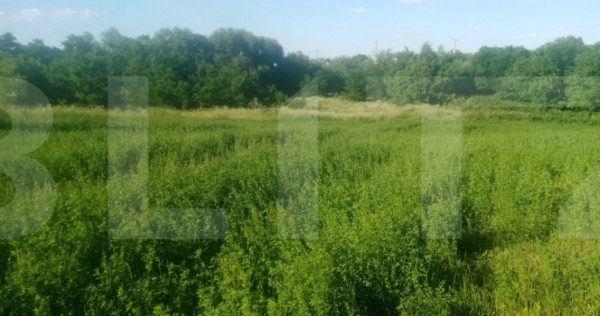 Teren intravilan de vanzare, 3700 mp, zona Braesti