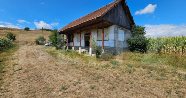 Casă de v&acirc;nzare, cu teren de 2.901 mp, Unirea