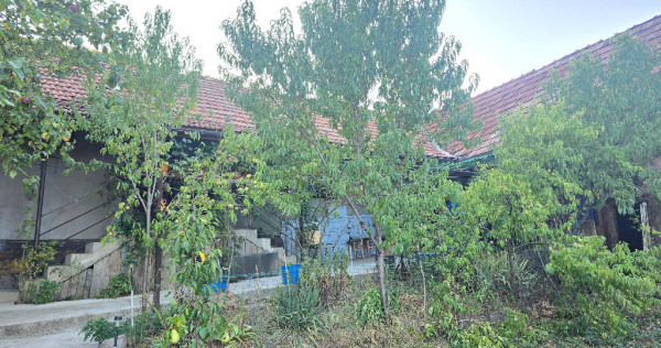 Vand casa in Deva, zona Viile Noi, suprafata totala de teren de 766 mp