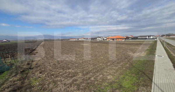 Teren pentru investiție | +14.000 mp | Ciugud &ndash; zonă &icirc;n