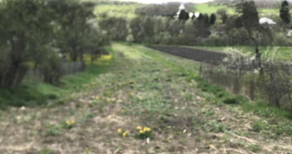 Teren intravilan 1.900 mp &ndash; Măcicașu, Chinteni