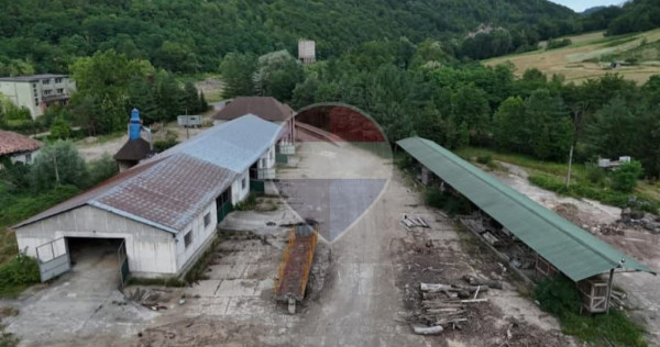 Spațiu industrial 25.015 Mp t eren si hale ,Varfurile