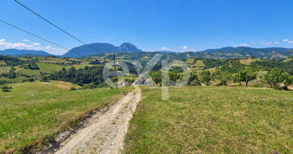 1061 mp &icirc;n Poiana Mărului | Teren cu potențial, la doar 1