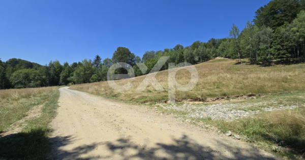 36.200 mp teren | Poiana Mărului | Platou | Apă și curent