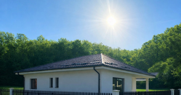 Vand casa noua Pitesti Bascov