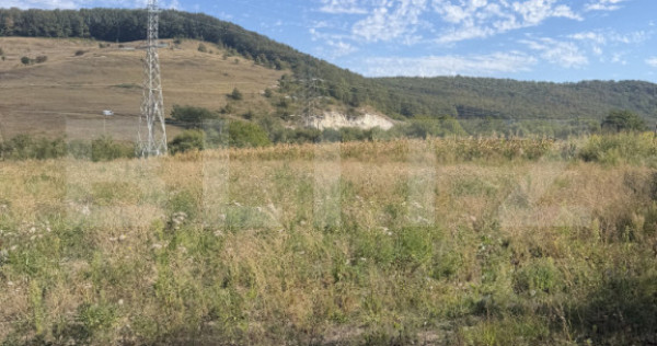 Teren intravila de vanzare, 5.595 mp, zona Ortelec