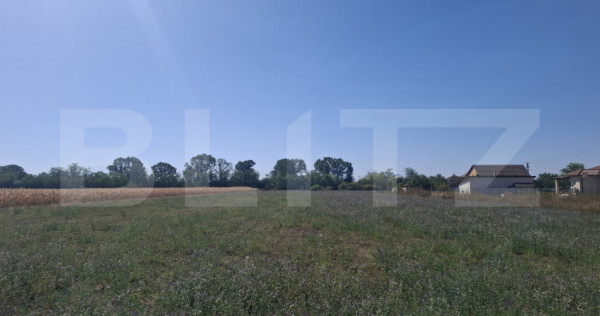 Teren intravilan, 3746 mp, zona Madaras