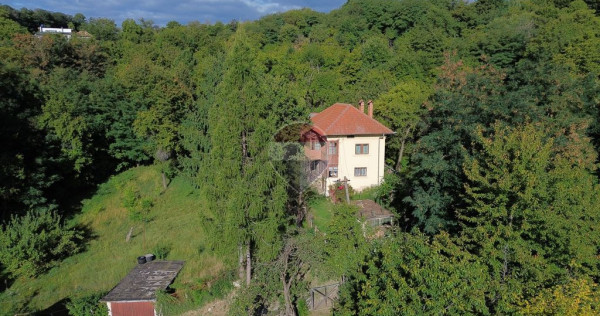Casă in mijlocul naturii in orașul C&acirc;mpulung