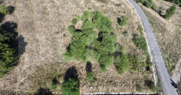 Teren extravilan, 2200 mp, zona BAciu - SunGarden