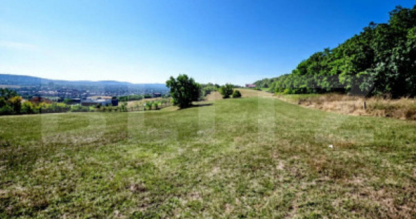 Teren de vanzare, 10.000 mp, zona Unirii