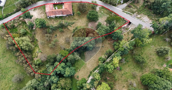 Teren intravilan | 4840 mp | Casă + Anexe | Utilități | Sohodol | Bran