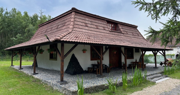 Cabana cu piscina - Lacul Surduc