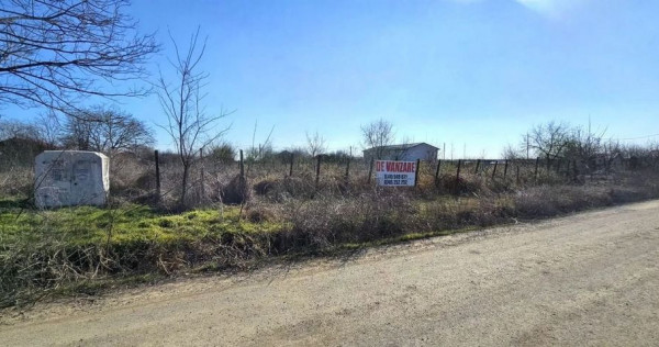 De vanzare 1600 mp curti constructii, Vanatori, 56.000 euro