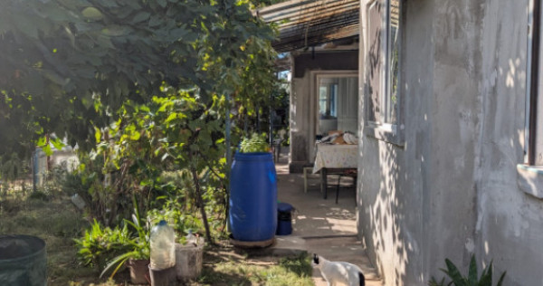 CASA DE VANZARE -COMUNA BESTEPE, TEREN 5165 MP