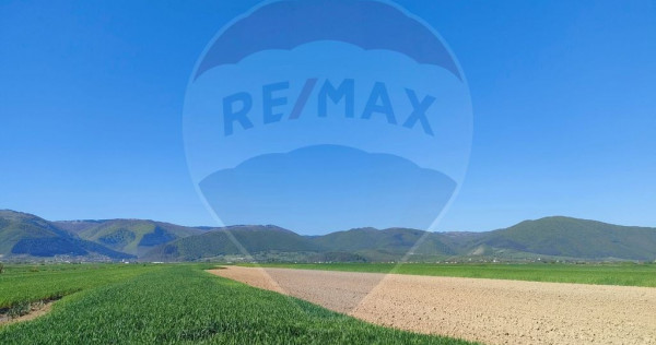 Panoramă deasupra lumii Teren de poveste Gura R&acirc;ului, zona Peste Grui