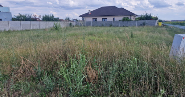 Teren intravilan de 718 mp de vanzare in Mosnita Veche