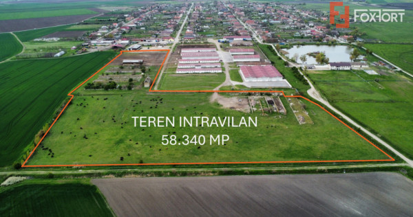 Teren intravilan cu suprafata de 58.340 mp, in Sanmartinul S