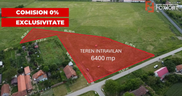 COMISION 0% Teren intravilan 6400 mp la drum asfaltat - Padu