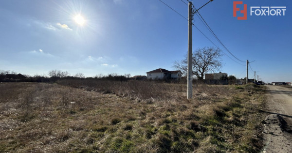Teren intravilan, ideal pentru constructii case Sanandrei