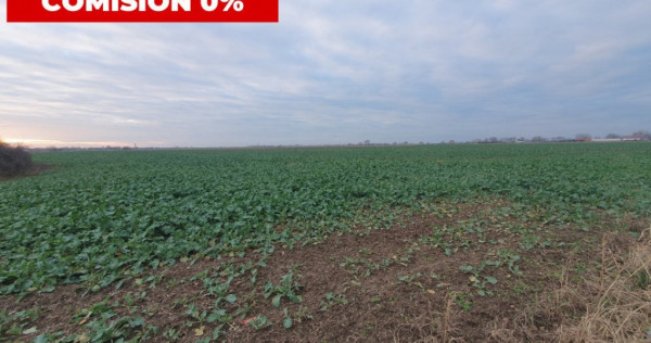 COMISION 0% Teren extravilan 20.000 mp la sosea in Sag