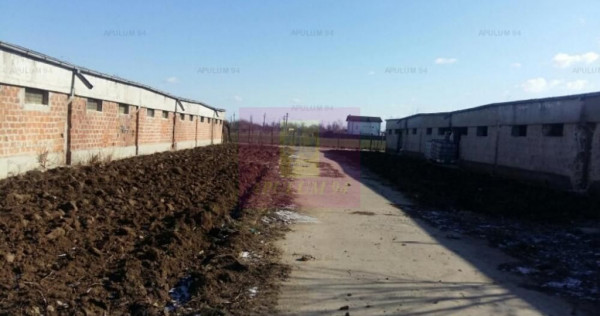 Teren Balotesti- Saftica- ideal pentru constructie locuinte.