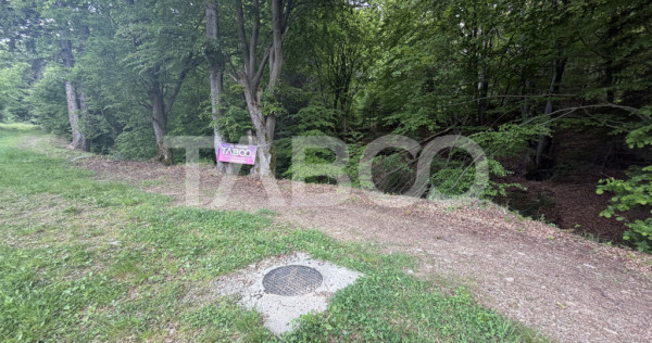 Teren intravilan 1000 mp front stradal 40 m langa Partia de