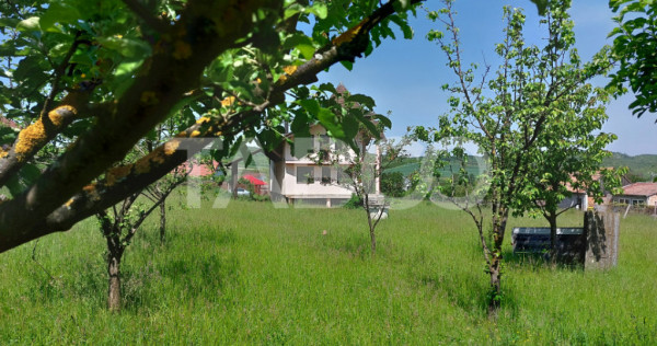 Casa de vanzare cu teren 2000 mp 5 camere Sura Mare Hamba S