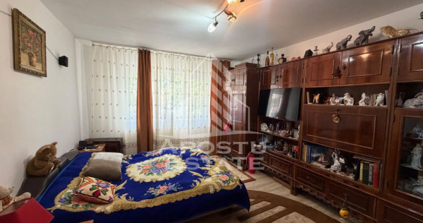 Apartament cu 3 camere de vanzare,decomandat , Zona Lipovei,Timisoara