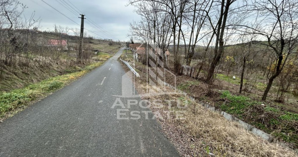 Teren 3920 mp, de vanzare, ideal casa de vacanta, Herneacova.