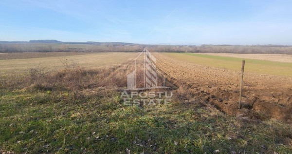 Teren agricol, Barsa, Eligibil pentru fonduri Europene