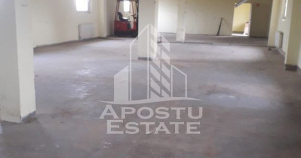 De vanzare / inchiriere hala industriala in Mosnita Noua, jud. Timis