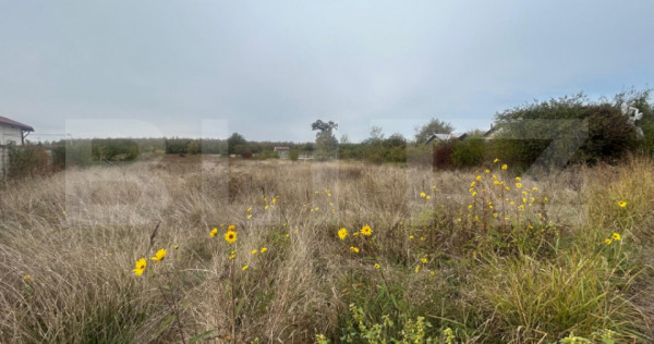 Teren intravilan, 455 mp, zona Sud - Ulmi