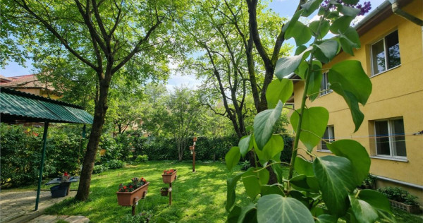 Imobil cu gradina verde, in ariere placuta, Tractorul, Braso
