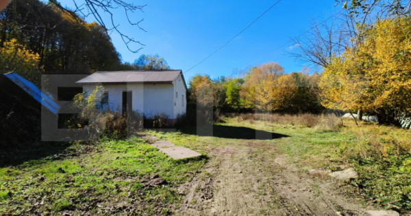 Teren intravilan 3.600 mp | Bascov | Utilitati | Potential i