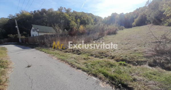 TEREN DE VANZARE IN BABANA, ARGES, LANGA PADURE
