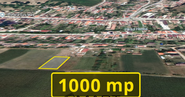 Teren extravilan 1000mp Sura Mare