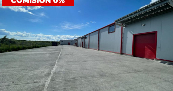 Hală industrială, situată în Târgu Jiu, str. Narciselor