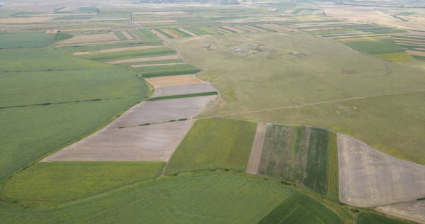 Teren arabil de 40 hectare în Zarand