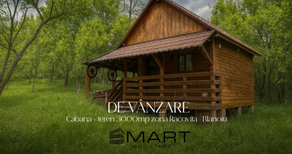 Teren intravilan 3102mp zona Racovita-Blanoiu